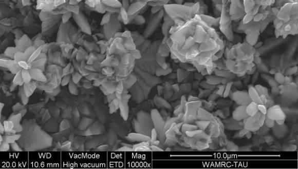 Scanning electron microscopy of copper crystals (Dr. Zahava Barkay, Wolfson Center for Materials Research)